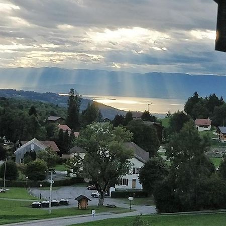 Balcony Of Lake Geneva Thollon-les-Memises Eksteriør bilde